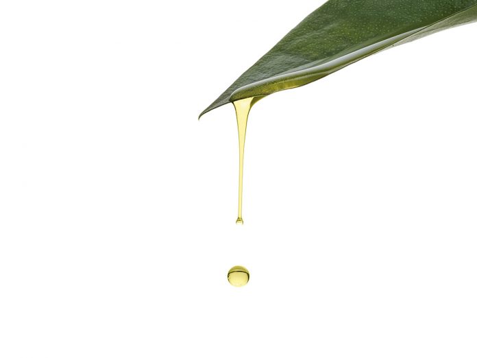Beauty Treatment. Olive Oil Drops Isolated on White