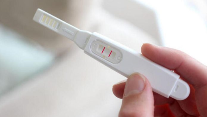 Hamilelik Testi1