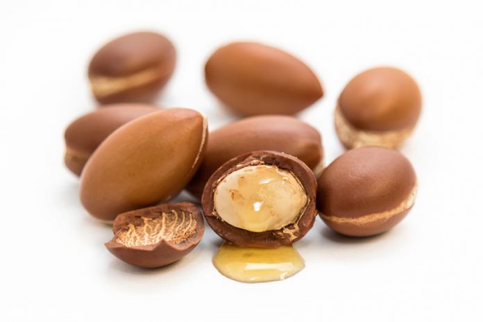 argan yagi