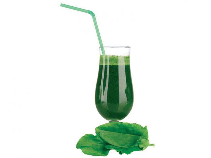 klorofil