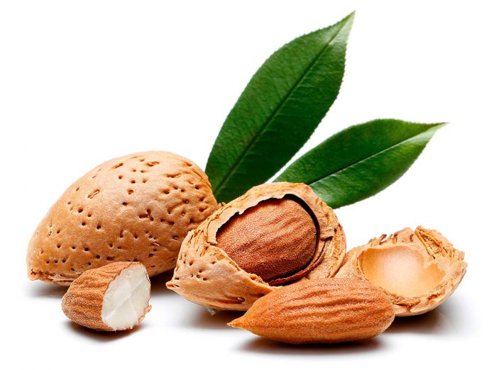 Almond nut isolated