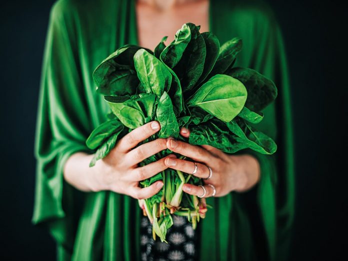 Young woman holding spinach leafs salad