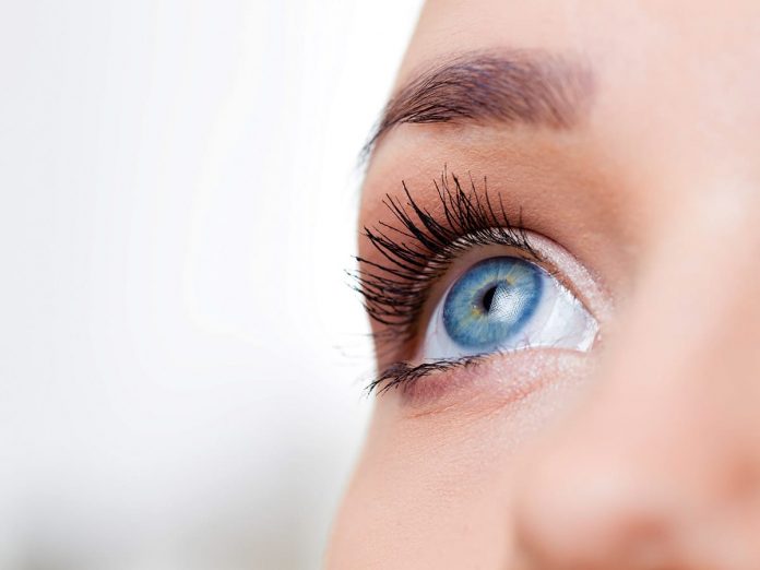 Female eye macro shot