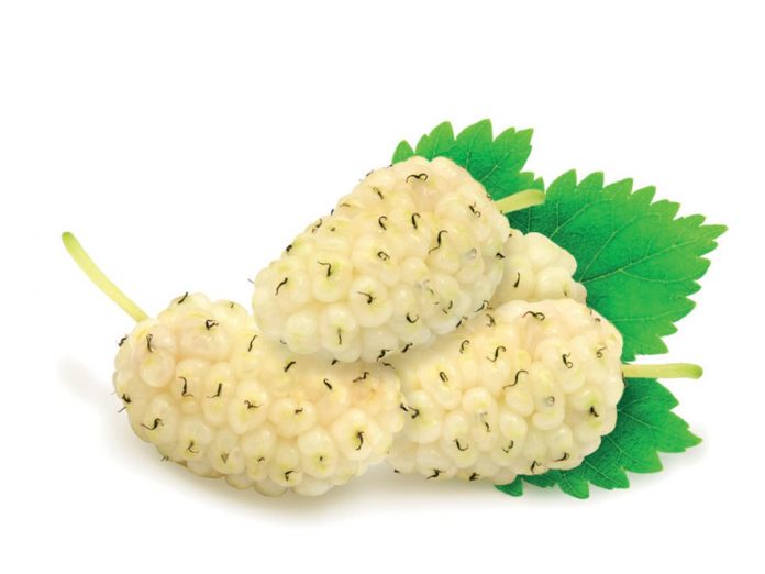 Heap of fresh mulberries.