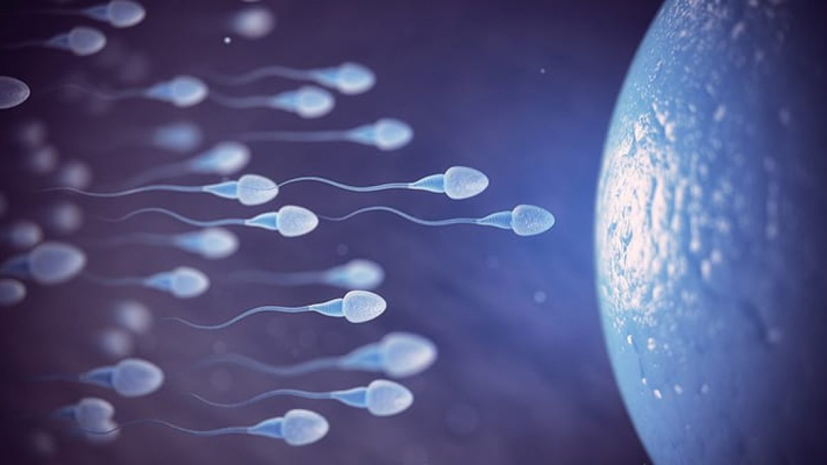 Kocasinda Sperm Sayti Az Olupda Gebe Kalanlar