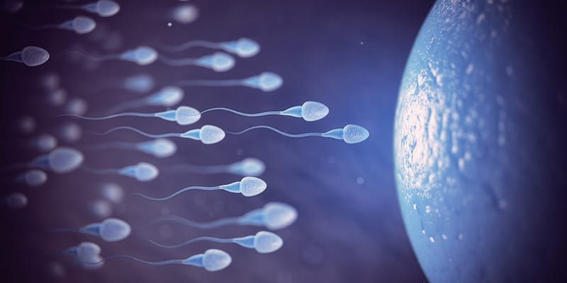 sperm-sayisi-sperm-kalitesi-nasil-arttirilir-10-soru-10-cevap